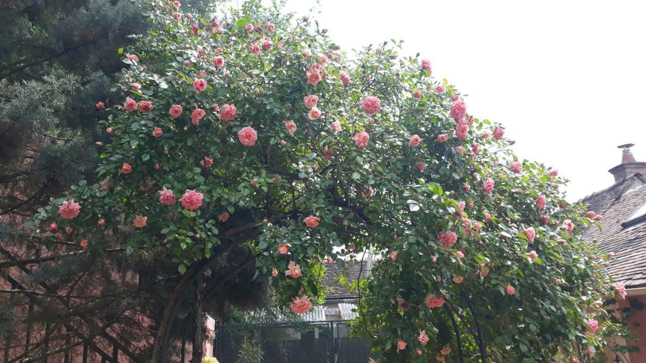 La Maison Rose: Lieu Atypique Otel Nemours Dış mekan fotoğraf